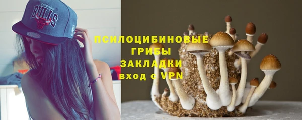 мяу мяу мука Козловка