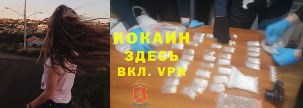 мяу мяу мука Козловка